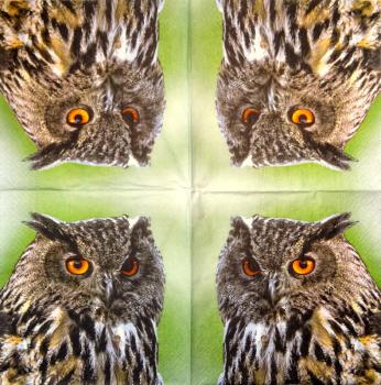 116 Owls - ply - Kalamazoo - CS - 24x24cm